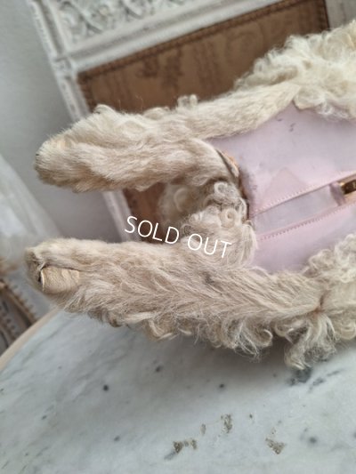 画像18: アンティークLou Louパジャマドッグ