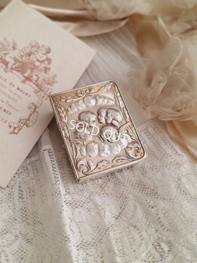 silverangelcase