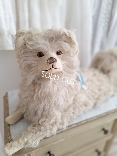 louloupajamadog