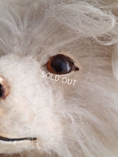 画像4: アンティークLou Louパジャマドッグ