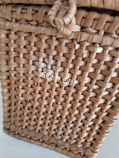 画像3: アンティチャイルドバスケット