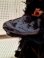 画像23: アンティークブラックパジャマドッグ