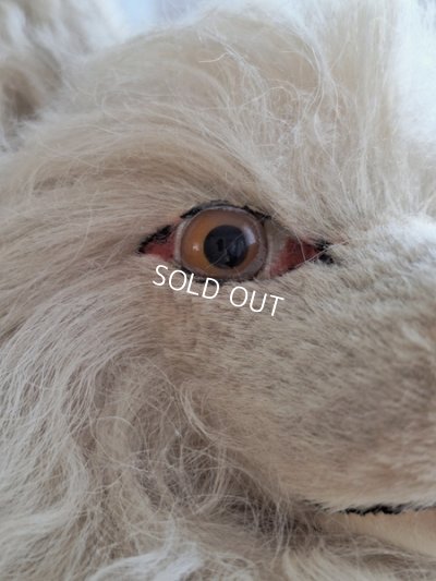 画像4: Lou Louパジャマドッグ