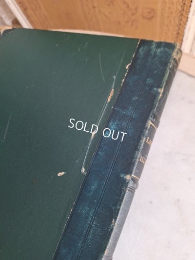 画像13: La mode Ilustreeモード本