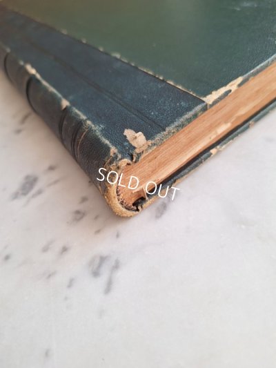 画像4: La mode Ilustreeモード本