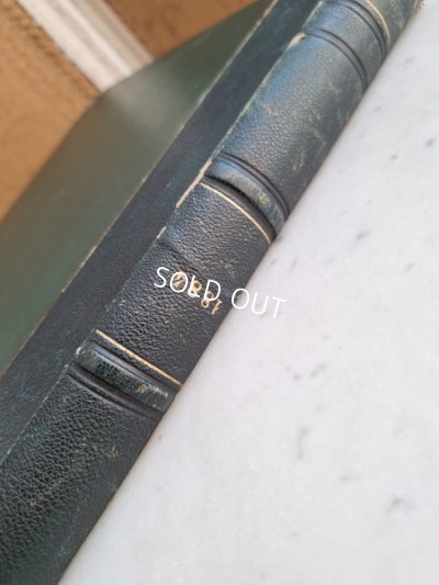 画像6: La mode Ilustreeモード本