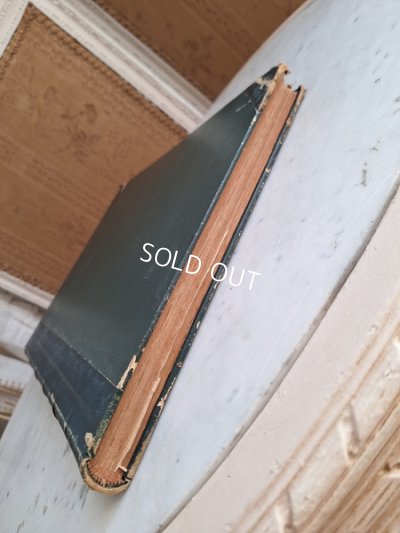 画像7: La mode Ilustreeモード本