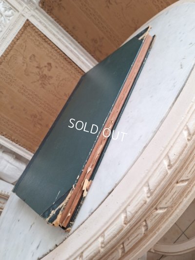 画像8: La mode Ilustreeモード本