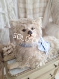 アンティークLou Louパジャマドッグ