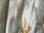 画像3: シルク花柄刺繍ハンキーケース