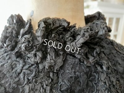 画像8: ヴィクトリアンレースケープ