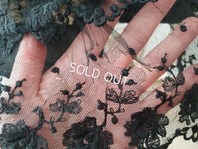 画像14: ヴィクトリアンレースケープ