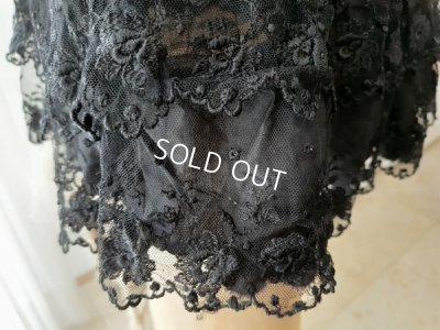 画像10: ヴィクトリアンレースケープ