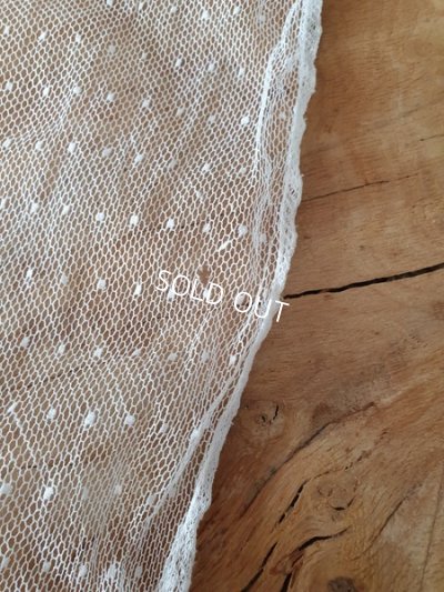 画像9: トッド柄レースカーテン3枚セット