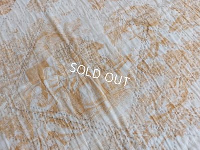 画像12: アンティークトワルドジュイ柄キルト