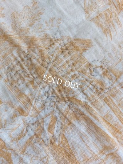 画像5: アンティークトワルドジュイ柄キルト