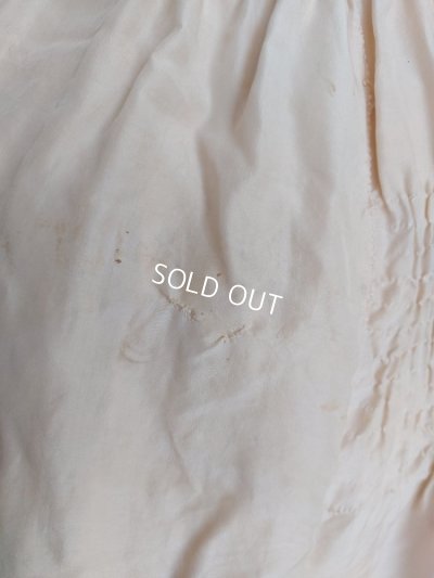 画像19: エドワ―ディアン期ロココ装飾ドレス