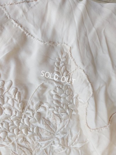 画像22: エドワ―ディアン期ロココ装飾ドレス