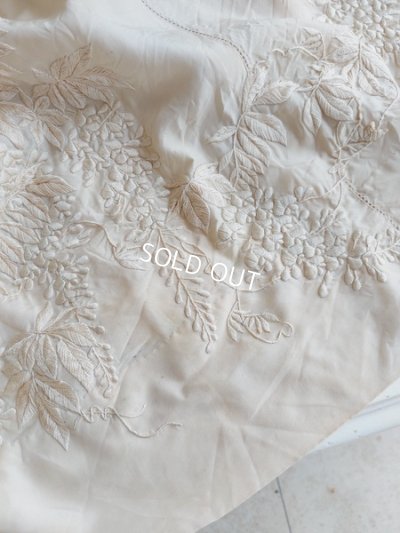 画像14: エドワ―ディアン期ロココ装飾ドレス