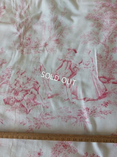 画像9: アンティークトワルドジュイベッドカバー