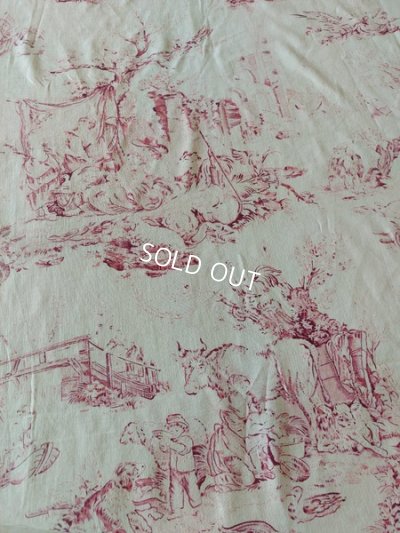 画像41: アンティークトワルドジュイ端切れ