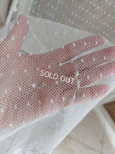 画像16: アンティークトッド柄レースカーテン