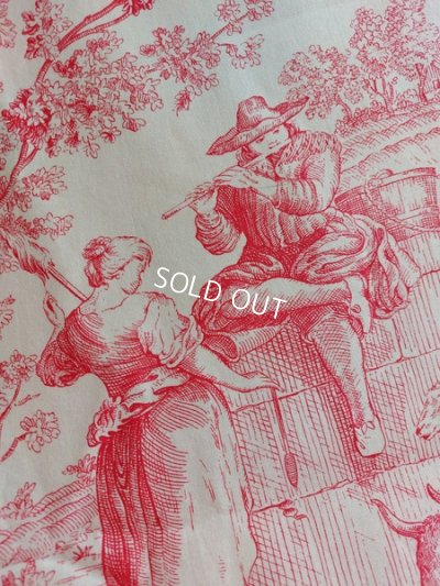 画像9: トワルドジュイ柄ファブリック