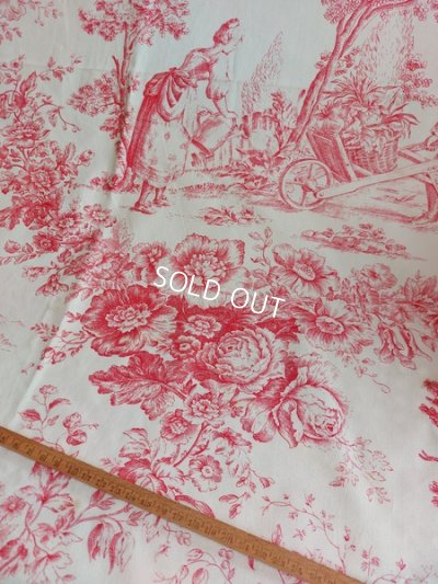 画像4: トワルドジュイ柄ファブリック