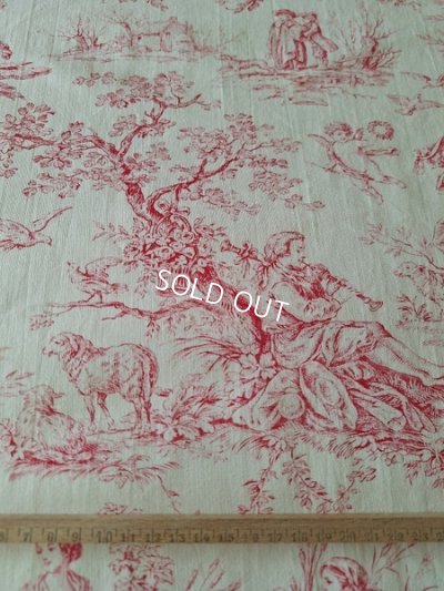 画像14: アンティークトワルドジュイ柄生地