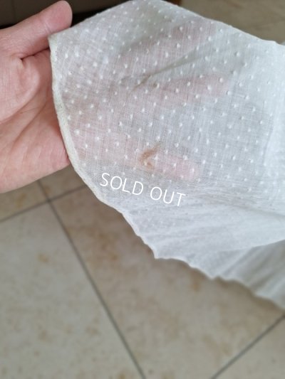 画像15: アンティークチュールペチコート付ロングスカート