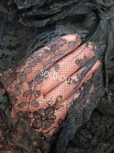画像27: ヴィクトリアンレースケープ