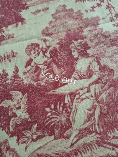 画像11: アンティークトワルドジュイ生地