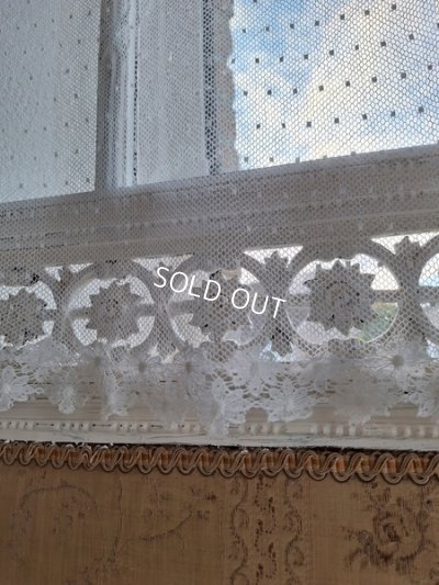 画像6: トッド柄レースカーテン