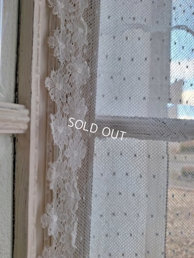 画像7: トッド柄レースカーテン