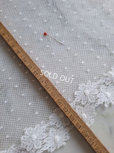 画像11: トッド柄レースカーテン