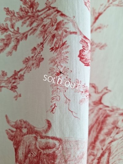 画像19: トワルドジュイ柄カーテン