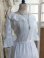lacebodice