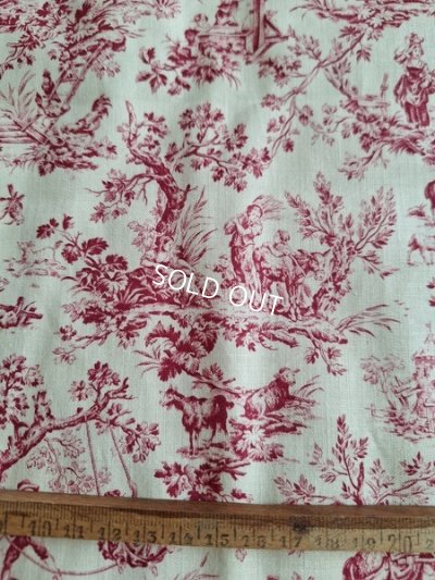画像5: 小さなトワルドジュイ柄生地