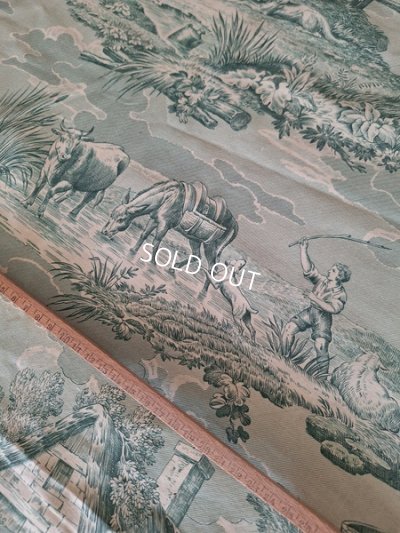 画像5: トワルドジュイ柄生地