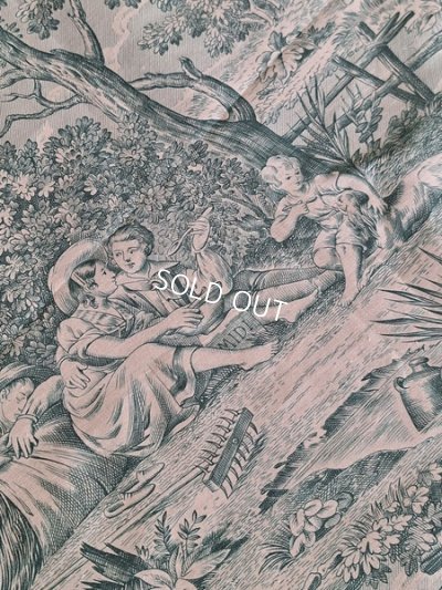 画像9: トワルドジュイ柄生地