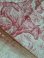 画像22: トワルドジュイ柄カーテン (22)