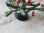 画像4: チェコガラスクリスマスツリー (4)