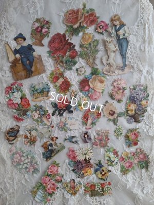 画像3: クロモスセット