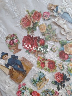 画像4: クロモスセット