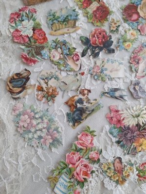 画像5: クロモスセット