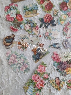 画像5: クロモスセット