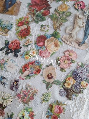 画像6: クロモスセット