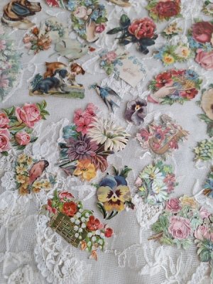 画像7: クロモスセット