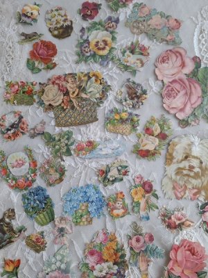 画像10: クロモスセット