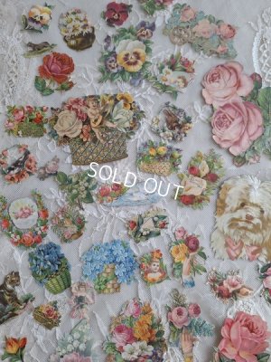 画像10: クロモスセット